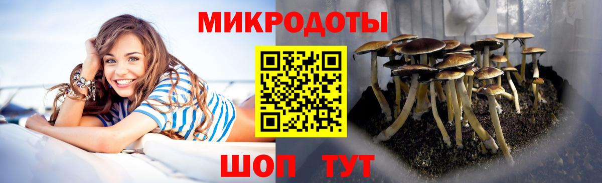 Псилоцибиновые грибы MAGIC MUSHROOMS Карталы